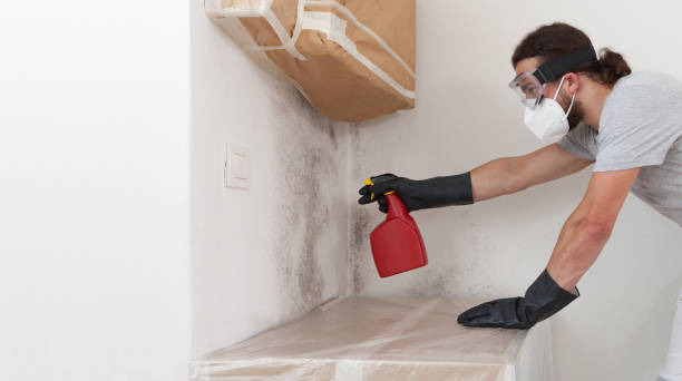 Professional Bathroom Mold Removal technician working in Shamokin Dam, PA